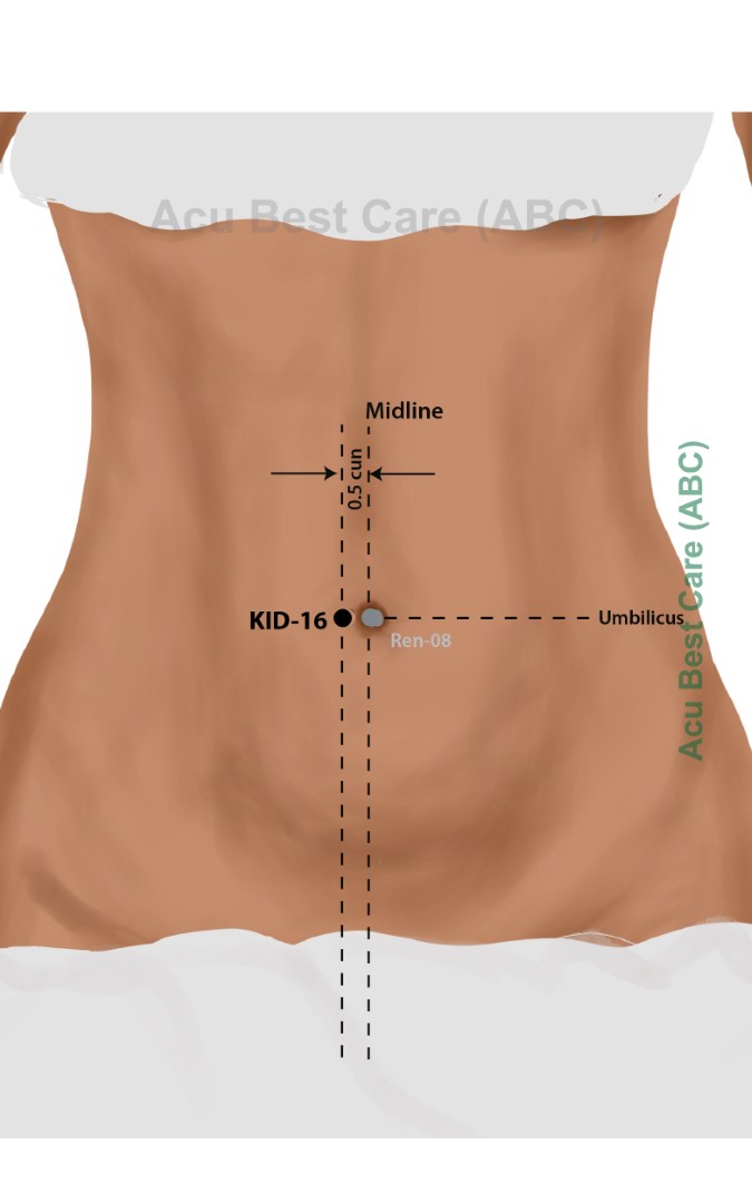 Acubestcare Meridian K-16 or KID-16